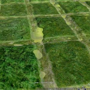 IFARM (Imaging For Agricultural Research and Management) | Farm Hack