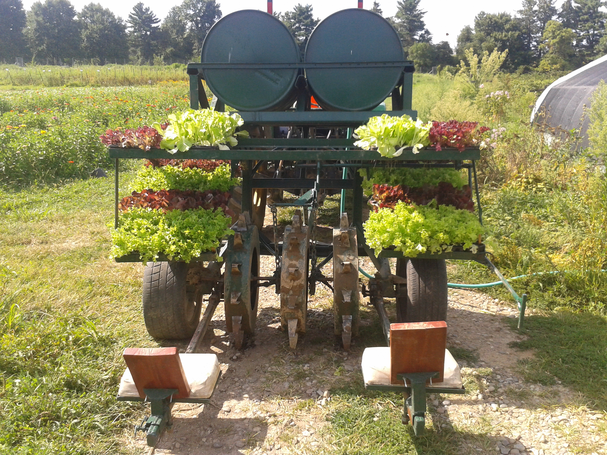 Water Wheel Transplanter