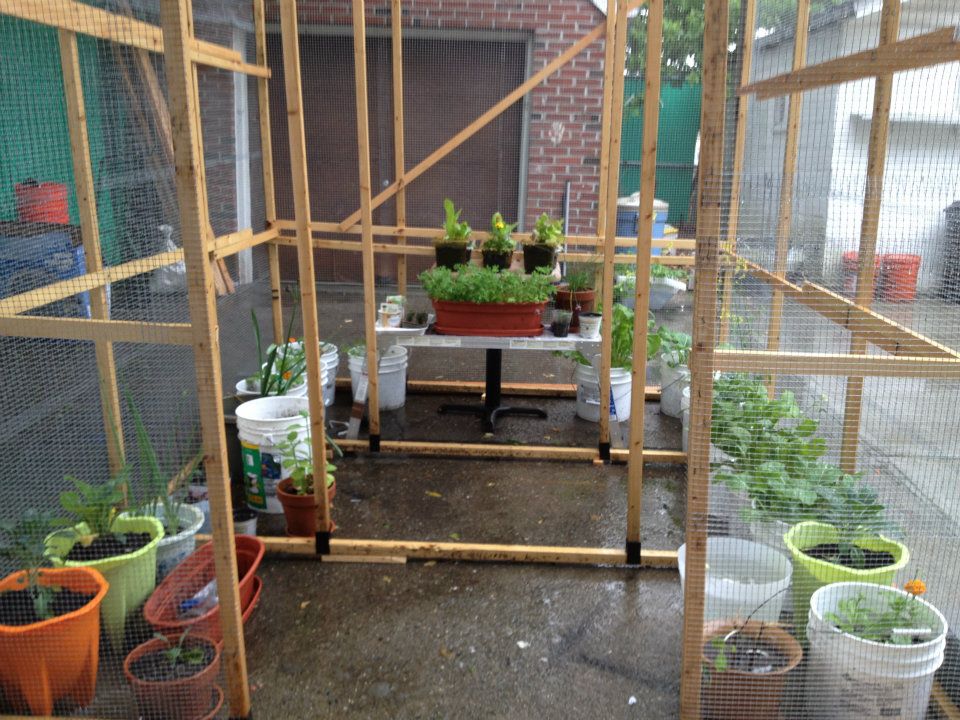 SustyQ Greenhouse with Hardware Fabric