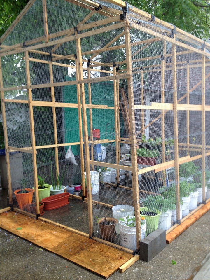 SustyQ Greenhouse with Hardware Fabric