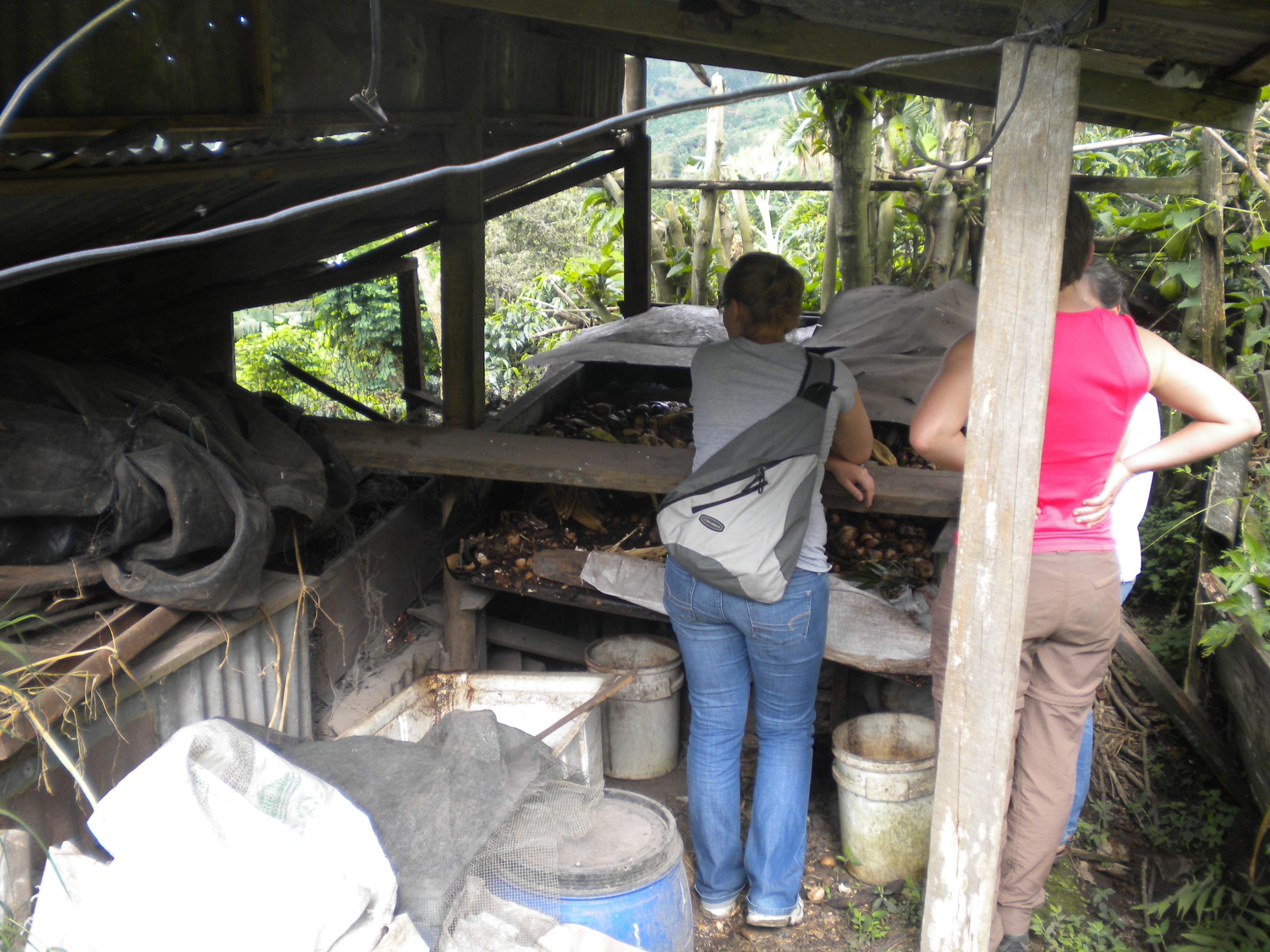 Truck Bed Liner Compost Tea Collector