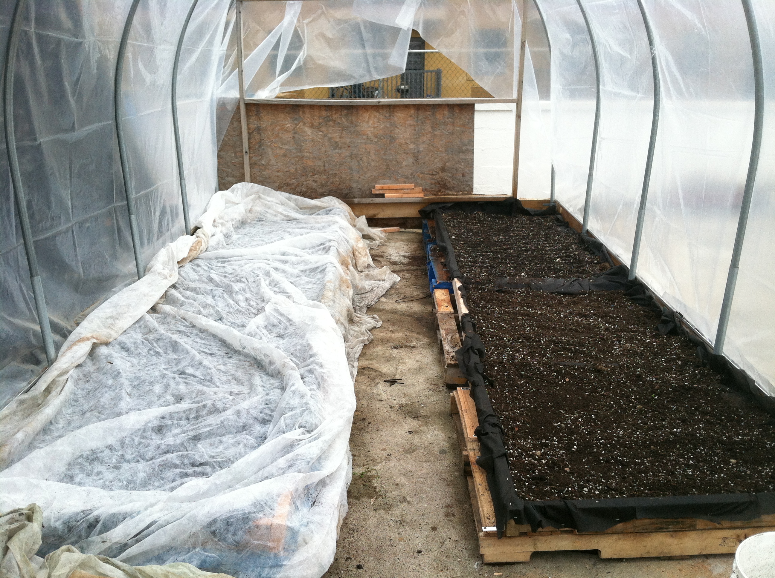 Zepickens Greenhouse interior