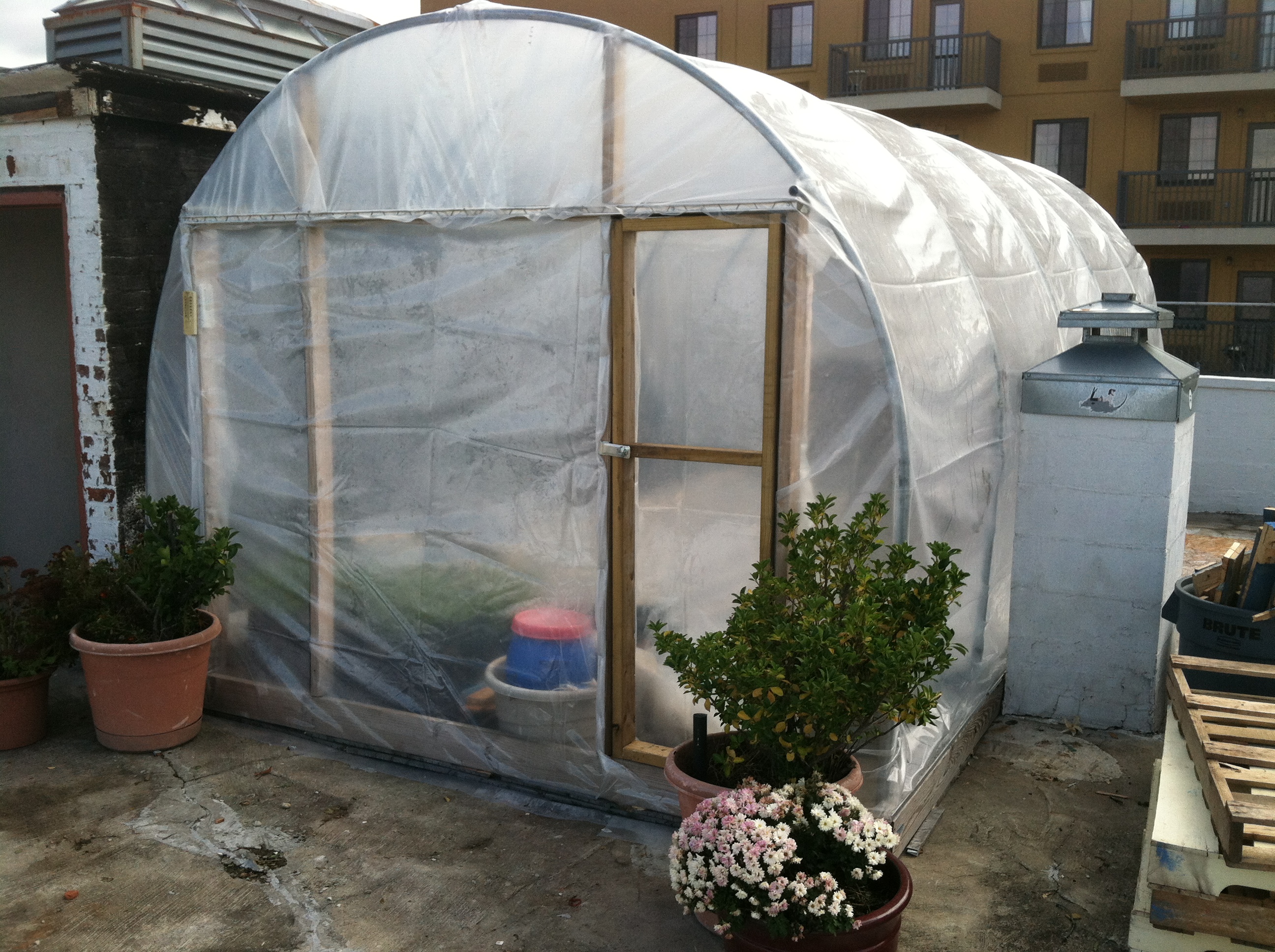 zepickens Greenhouse Exterior