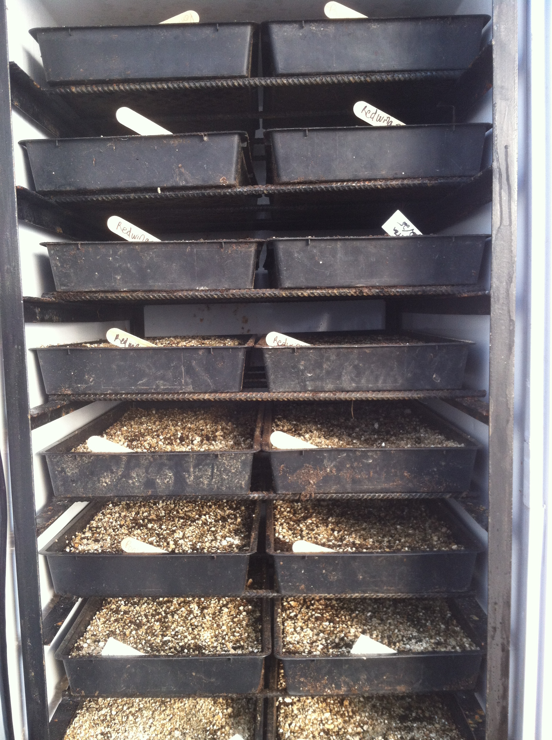 Sweat Box Germination Chamber