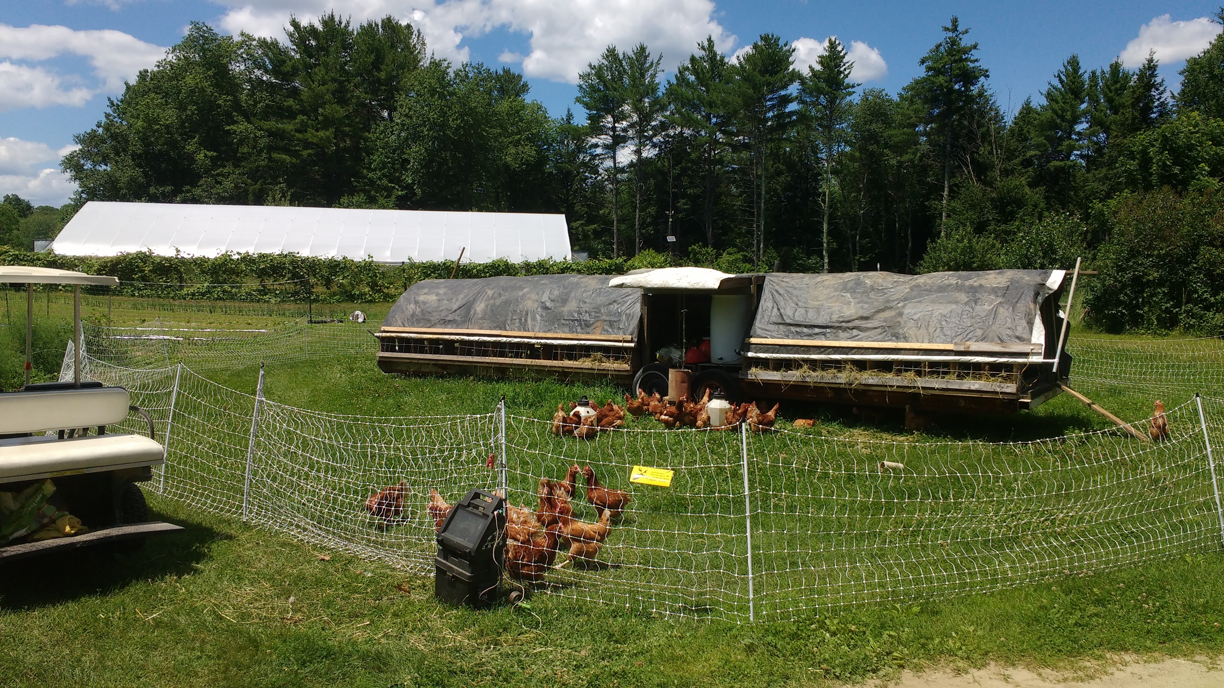 Hoop Chicken Trailer