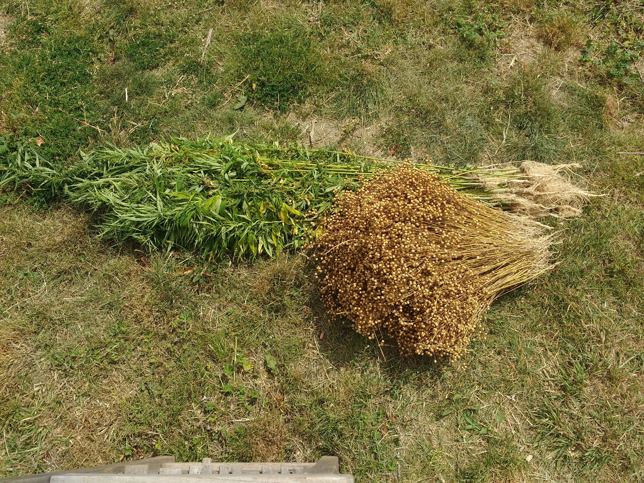 Flax and Hemp processing equipment