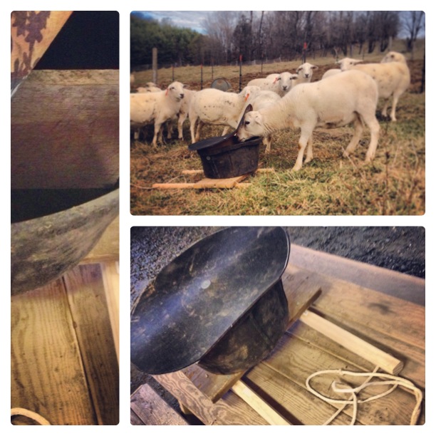 $10 DIY mineral feeder