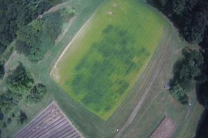 Covercrop effects on Sorgum Sudan Grass