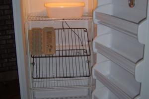 freezer interior with egg racks tipped forward
