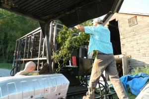 Feeding a bine into the machine.