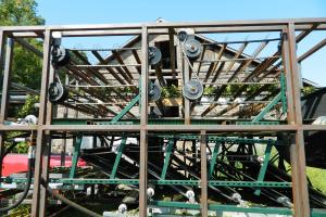 Side view showing a bine being stripped (harvested).