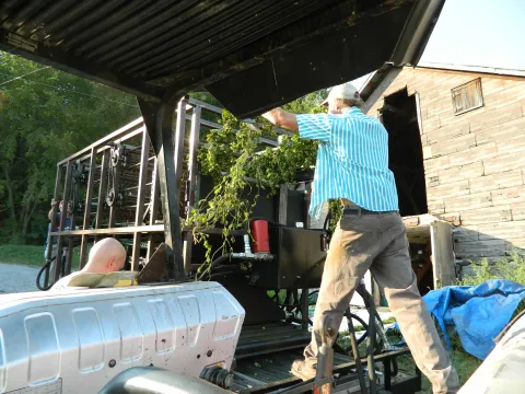 Feeding a bine into the machine.