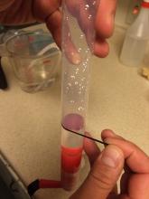 Attaching thin strip of electrical tape at the water level to mark the first 50 mL increment.