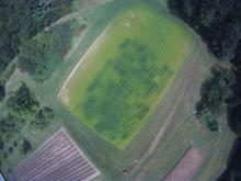 Covercrop effects on Sorgum Sudan Grass