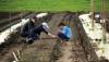 oldworldheritage's picture