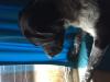 Tara Beckman's picture