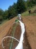 PreservationFarm's picture